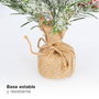 GSC Evolution Arbre de Noël Padas 40cm