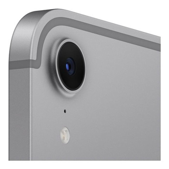 Apple iPad Mini 7e génération (A17 Pro) 256 Go, Wi-Fi + 5G, 8,3 pouces, Gris Sidéral, 2024