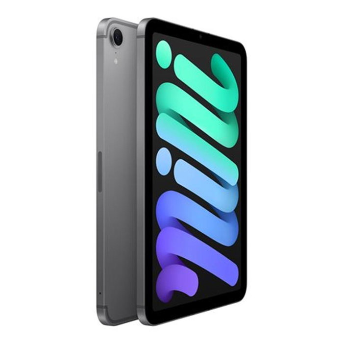 Apple iPad Mini 7e génération (A17 Pro) 256 Go, Wi-Fi + 5G, 8,3 pouces, Gris Sidéral, 2024