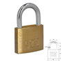 WOLFPACK LINEA PROFESIONAL Chaîne en laiton anse normale 60 mm