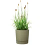 Garden Id Pot de fleurs Lino Vert mousse avec réserve - Ø 29 cm - 14 L