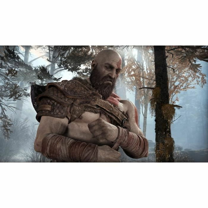Sony Computer Entertainment God Of War PlayStation Hits PS4 Sony Computer Entertainment God Of War PlayStation Hits PS4