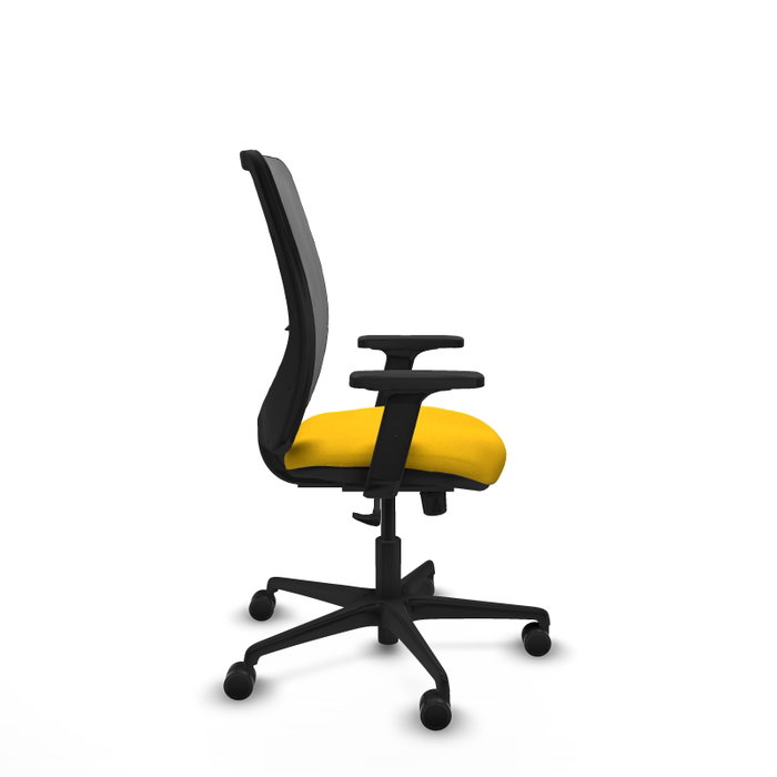 PIQUERAS Y CRESPO Chaise Zulema Synchro Jaune et Gris PIQUERAS Y CRESPO Chaise Zulema Synchro Jaune et Gris
