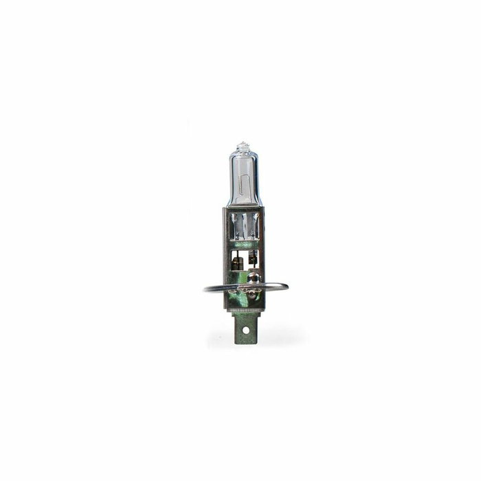 M-Tech Lampe Halogène Premium H1 12V/55W (Pack de 10)