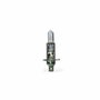 M-Tech Lampe Halogène Premium H1 12V/55W (Pack de 10)