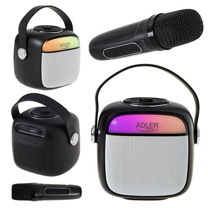 Adler AD 1199b Haut-parleurs bluetooth portables Gris