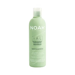 NOAH Après-shampoing Remplissant Acide Hyaluronique 250 ml