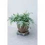 Nature - Support de pot roulant carré - Bois FSC - Charge max 250 kg - 4 roues multidirectionnelles avec frein - Pour intérieur et extérieur - Dimensions H11 x Ø38 cm