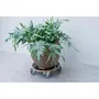 Nature - Support de pot roulant carré - Bois FSC - Charge max 250 kg - 4 roues multidirectionnelles avec frein - Pour intérieur et extérieur - Dimensions H11 x Ø38 cm