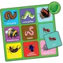 Orchard Little Bug Bingo - Jeu de bingo coloré avec insectes - Association et apprentissage pour enfants de 3 à 6 ans - Jeu éducatif