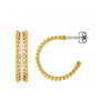 Tommy Hilfiger Boucles d'oreilles en acier inoxydable doré