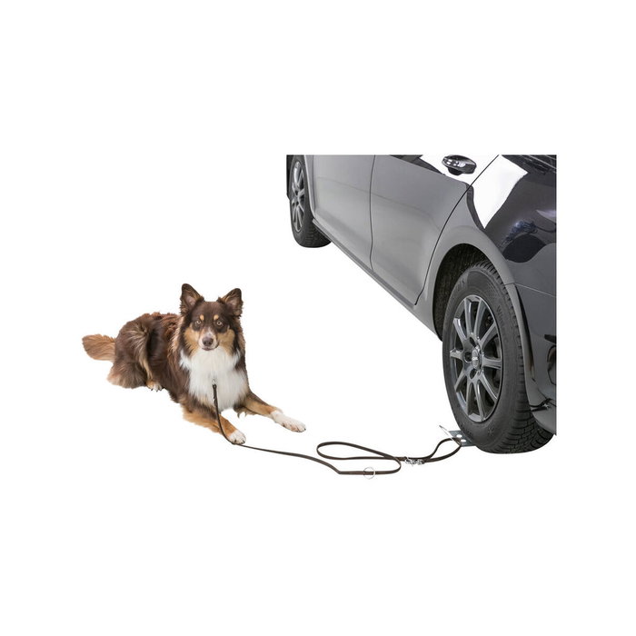 Crochet pour chien Trixie