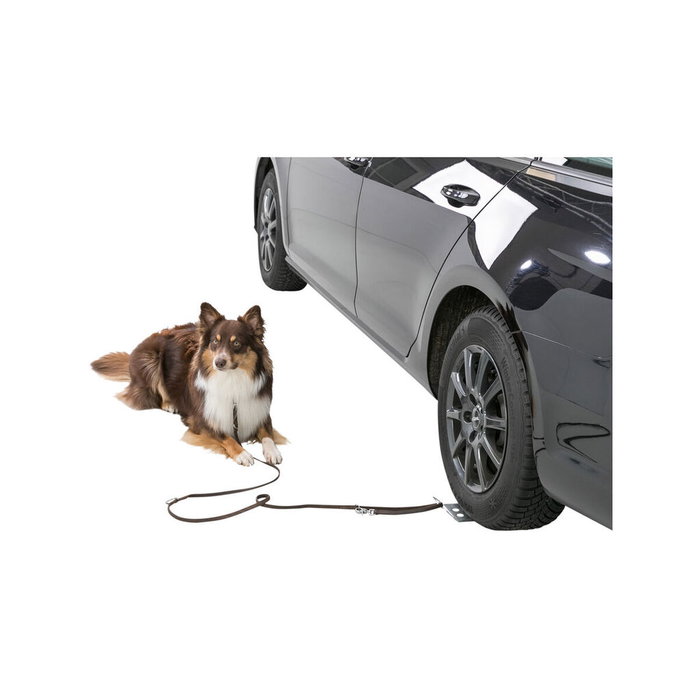 Crochet pour chien Trixie