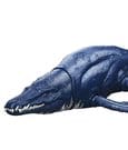 MATTEL Dinosaurio Wild Roar Brachauchenius Jurassic World MATTEL Dinosaurio Wild Roar Brachauchenius Jurassic World