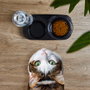 The Concept Factory Ensemble Mangeoire et Fontaine pour Chat avec Bol Ergonomique et Distributeur 500 ml