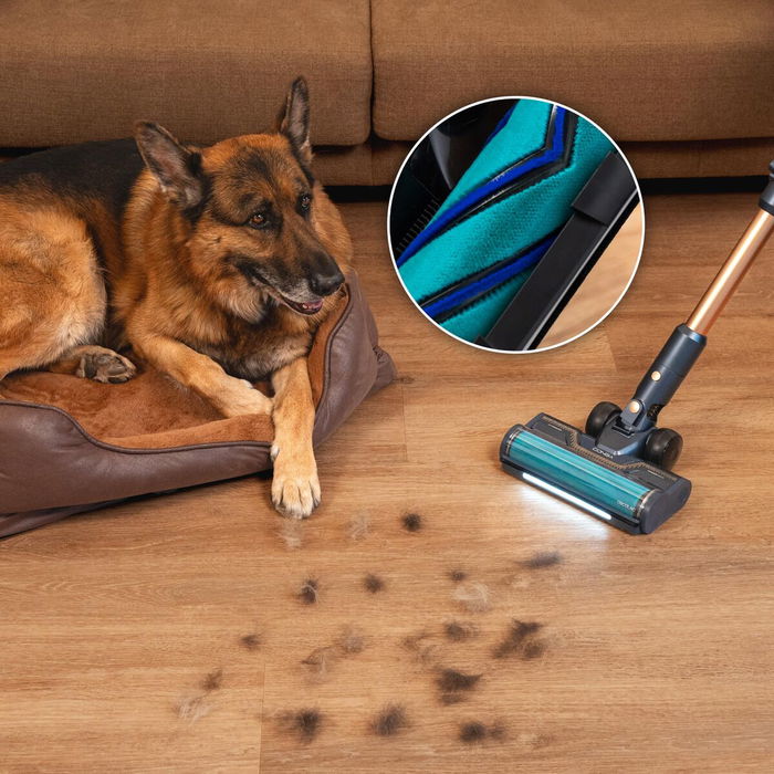 Aspirateur balai Cecotec RX70 AquaPet Flex 800 W Aspirateur balai Cecotec RX70 AquaPet Flex 800 W