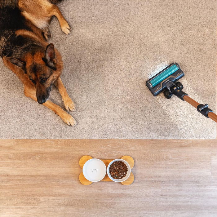 Aspirateur balai Cecotec RX70 AquaPet Flex 800 W Aspirateur balai Cecotec RX70 AquaPet Flex 800 W