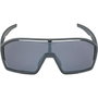 Alpina A8687321 Lunettes de soleil Homme