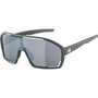 Alpina A8687321 Lunettes de soleil Homme
