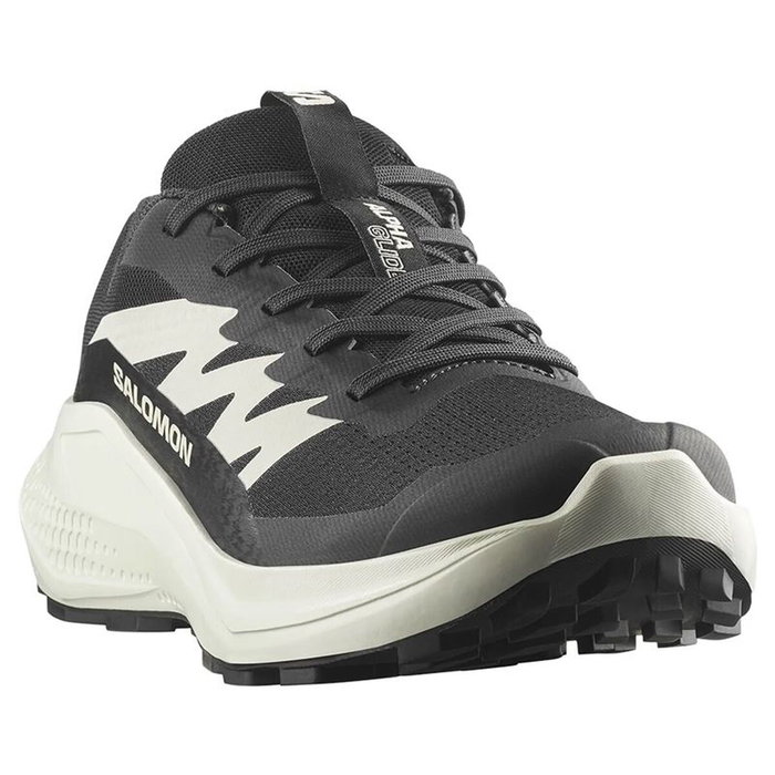 Chaussures de trail pour femmes Salomon Alphaglide Noir 40