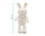 KioKids Peluche lapin doudou bébé - Texture ultra douce, lavable 40°C, compagnon de jeux et câlins, recommandé dès la naissance - Blanc
