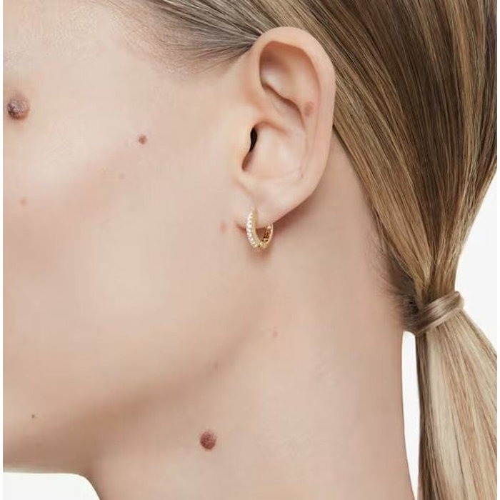 Boucles d´oreilles Femme Swarovski 5697228 Argent 925