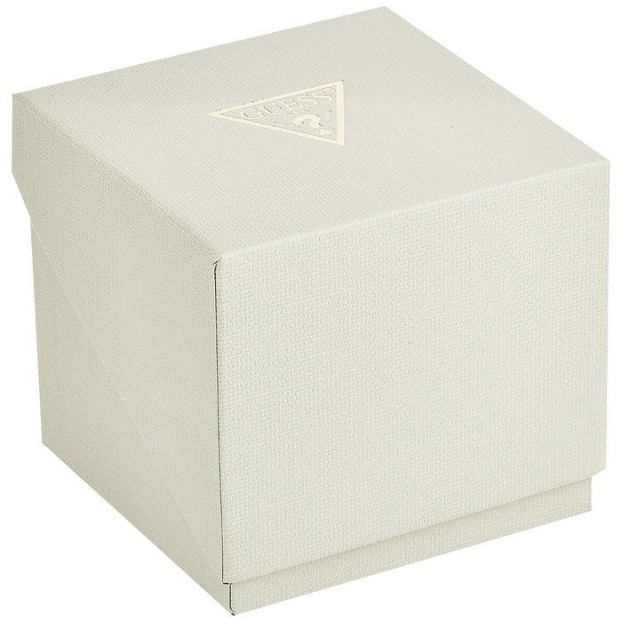 Montre Homme Guess GW0203G5 Noir