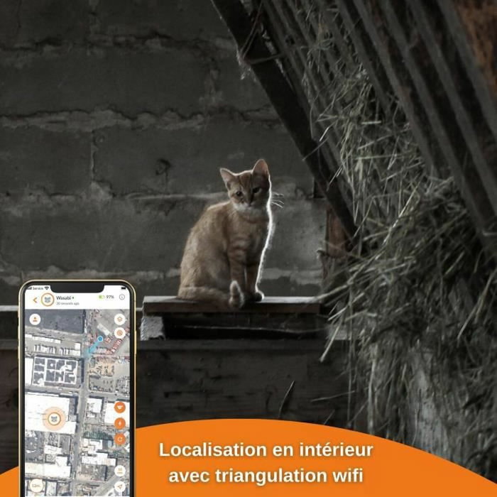 Weenect Traceur GPS pour Chat XS Black Edition 2023 Noir / Orange Weenect Traceur GPS pour Chat XS Black Edition 2023 Noir / Orange
