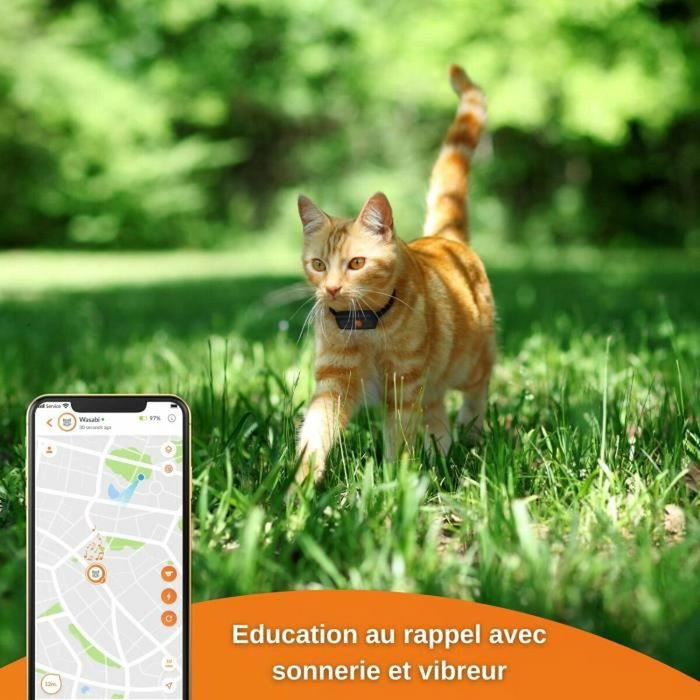 Weenect Traceur GPS pour Chat XS Black Edition 2023 Noir / Orange Weenect Traceur GPS pour Chat XS Black Edition 2023 Noir / Orange