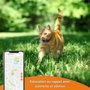 Weenect Traceur GPS pour Chat XS Black Edition 2023 Noir / Orange