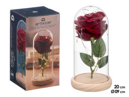 GIFTDECOR CUPULA 1 ROSA LED ROJA - Rouge, Bois et Transparente