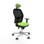 Piqueras y Crespo Chaise de Bureau 1D086G1 Pistache