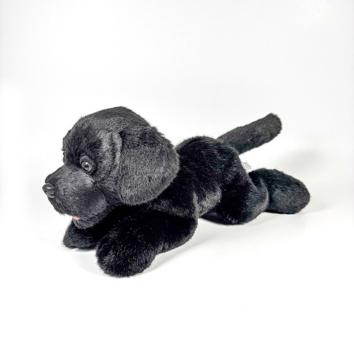 DEQUBE Peluche Labrador Noir Couché 25cm BOCALAN – Anglais, Portugais, Espagnol DEQUBE Peluche Labrador Noir Couché 25cm BOCALAN – Anglais, Portugais, Espagnol