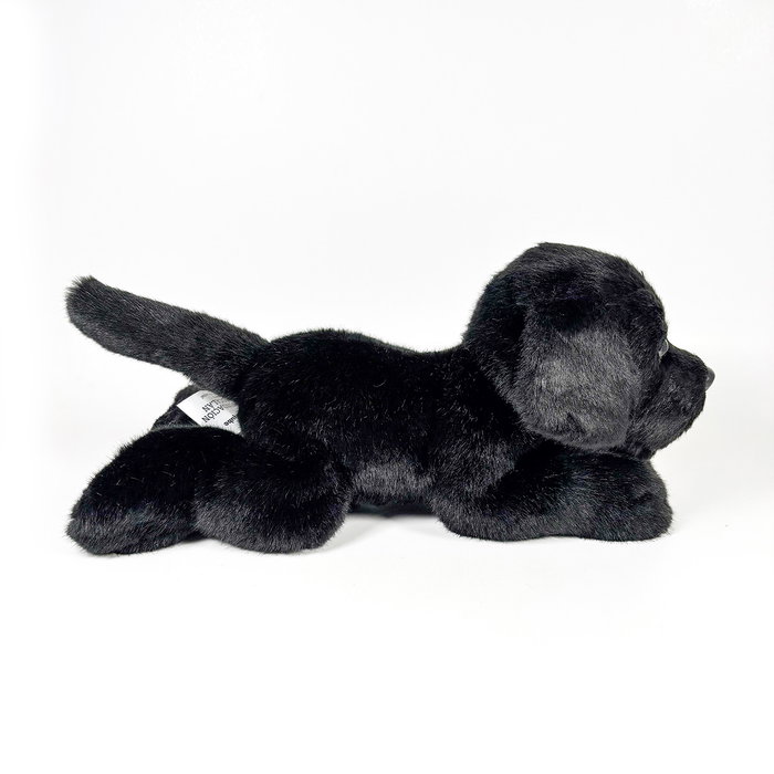 DEQUBE Peluche Labrador Noir Couché 25cm BOCALAN – Anglais, Portugais, Espagnol DEQUBE Peluche Labrador Noir Couché 25cm BOCALAN – Anglais, Portugais, Espagnol
