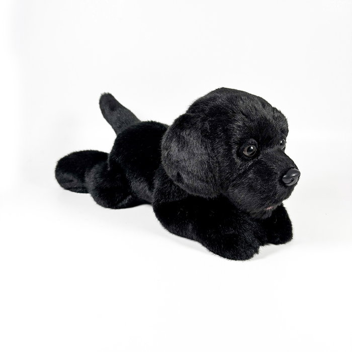 DEQUBE Peluche Labrador Noir Couché 25cm BOCALAN – Anglais, Portugais, Espagnol DEQUBE Peluche Labrador Noir Couché 25cm BOCALAN – Anglais, Portugais, Espagnol