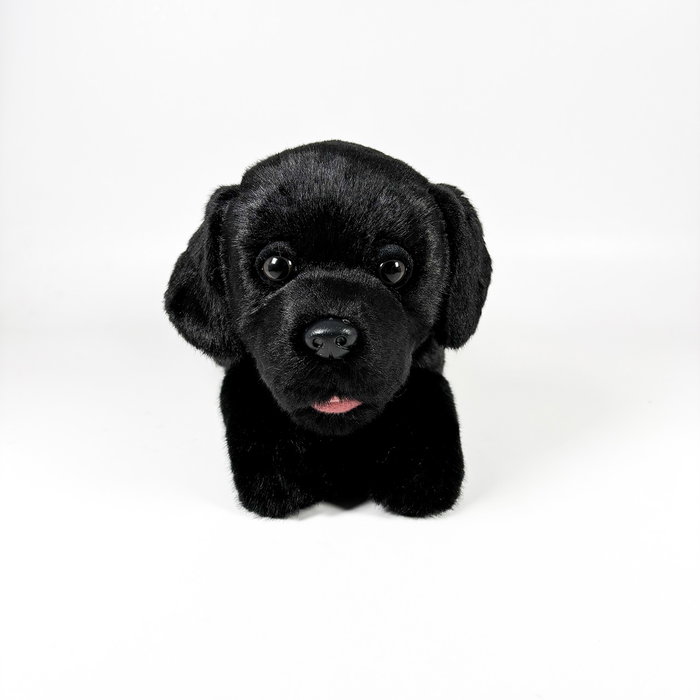 DEQUBE Peluche Labrador Noir Couché 25cm BOCALAN – Anglais, Portugais, Espagnol DEQUBE Peluche Labrador Noir Couché 25cm BOCALAN – Anglais, Portugais, Espagnol