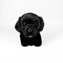 DEQUBE Peluche Labrador Noir Couché 25cm BOCALAN – Anglais, Portugais, Espagnol