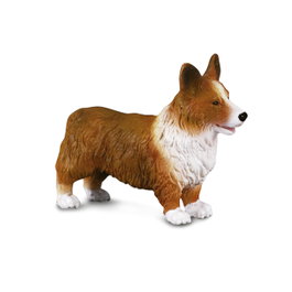 COLLECTA Welsh Corgi Gallois - M