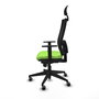 Piqueras y Crespo Chaise de Bureau 1D066G1 Pistache