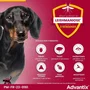 Advantix Antiparasitaire pour Chien Petite Race 4 à 10 kg, 6 Pipettes - Large Spectre d'Action et Répulsif Contre Tiques & Puces