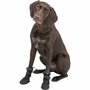 Marcheur de protection des pattes Trixie 19410