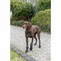 Marcheur de protection des pattes Trixie 19410