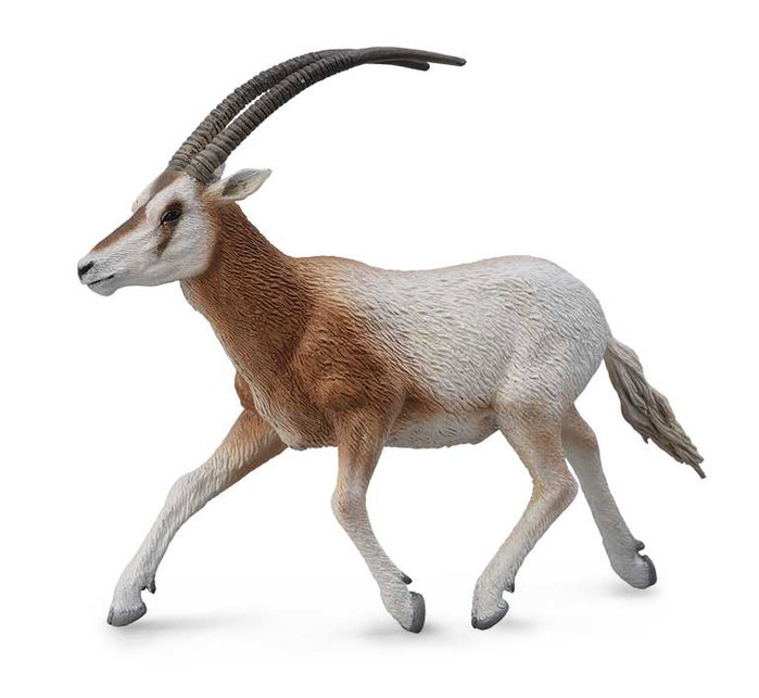 COLLECTA Antilope Africain (Oryx blanc) - Échelle L COLLECTA Antilope Africain (Oryx blanc) - Échelle L