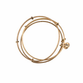 Alex And Ani Bracelet Basic Set3 AC Doré