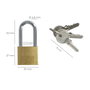 WOLFPACK LINEA PROFESIONAL Cadenas laiton anse longue 30 mm clés identiques n°2
