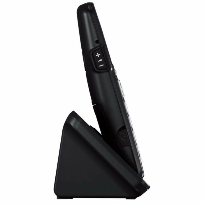 Téléphone Sans Fil Panasonic KX-TGE250SPB