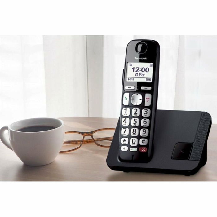 Téléphone Sans Fil Panasonic KX-TGE250SPB