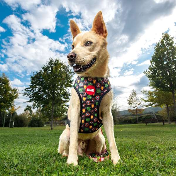 Cerdá Harnais pour chien T2XS XS/S, harnais Marvel, couleur rouge, taille XS/S