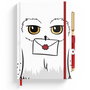 ERIK - Cahier premium A5 avec stylo Harry Potter Hedwig - Dimensions 230 x 150 x 20 mm - 418 g