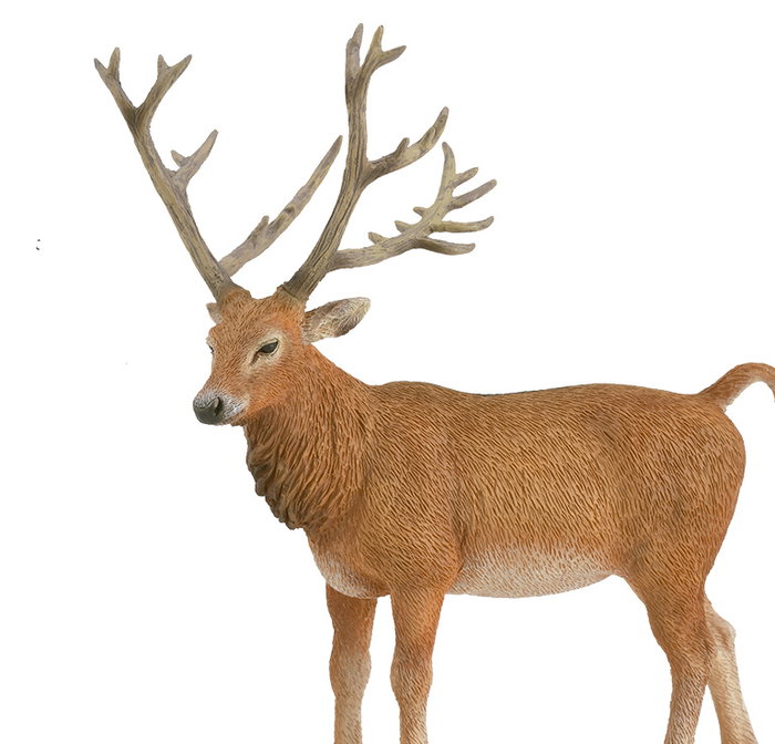 COLLECTA Milú